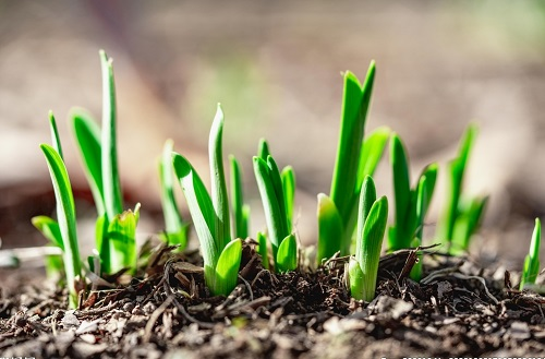 �����ضșz�y�x