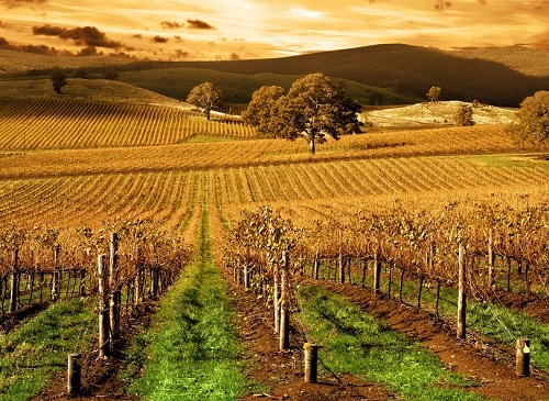 ��������ˮ�֜y���x