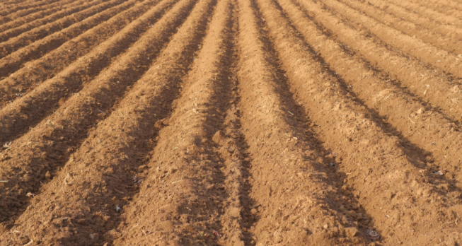 �����B(y��ng)�֙z�y(c��)�x�ęz�y(c��)ԭ��