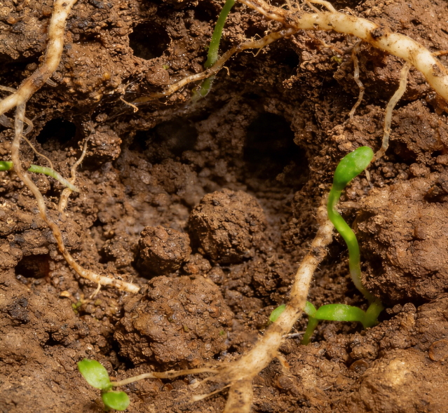 土壤水勢測定儀選國產(chǎn)？萊恩德耐鹽堿陶土頭 + 多探頭長度可定制